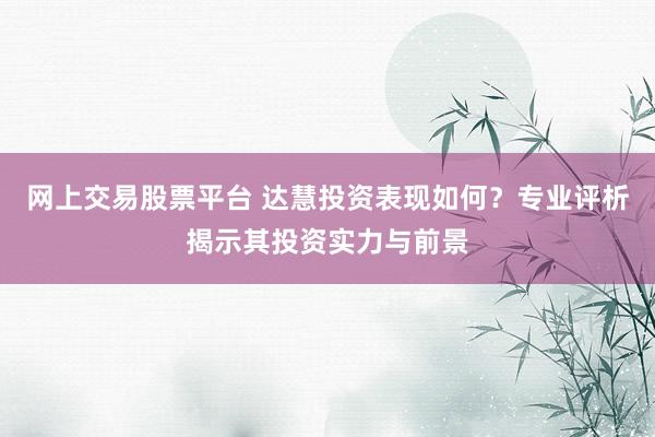 网上交易股票平台 达慧投资表现如何？专业评析揭示其投资实力与前景