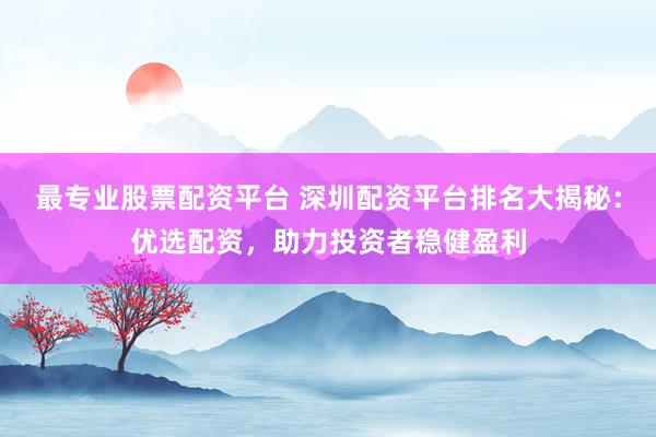 最专业股票配资平台 深圳配资平台排名大揭秘：优选配资，助力投资者稳健盈利