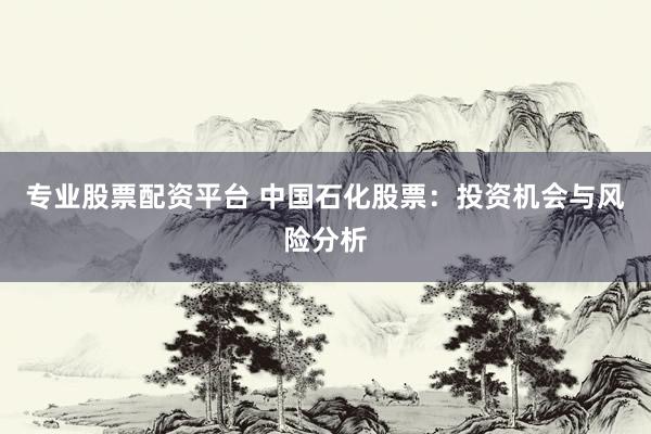 专业股票配资平台 中国石化股票：投资机会与风险分析