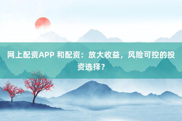 网上配资APP 和配资：放大收益，风险可控的投资选择？