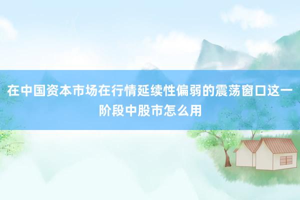 在中国资本市场在行情延续性偏弱的震荡窗口这一阶段中股市怎么用