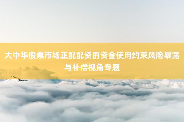 大中华股票市场正配配资的资金使用约束风险暴露与补偿视角专题