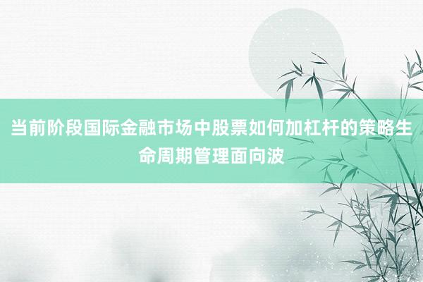当前阶段国际金融市场中股票如何加杠杆的策略生命周期管理面向波