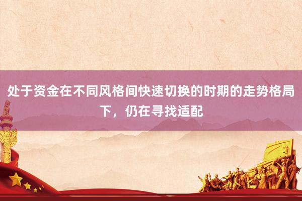 处于资金在不同风格间快速切换的时期的走势格局下，仍在寻找适配