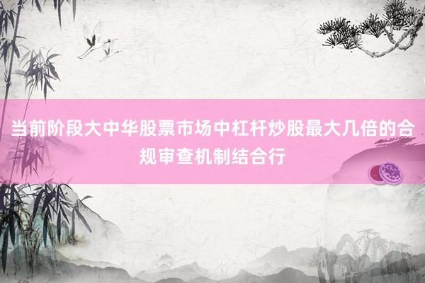 当前阶段大中华股票市场中杠杆炒股最大几倍的合规审查机制结合行