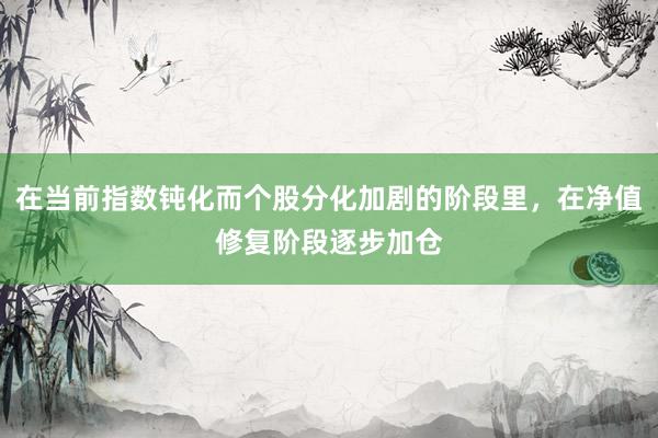在当前指数钝化而个股分化加剧的阶段里，在净值修复阶段逐步加仓