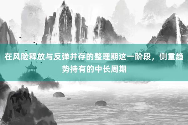在风险释放与反弹并存的整理期这一阶段，侧重趋势持有的中长周期